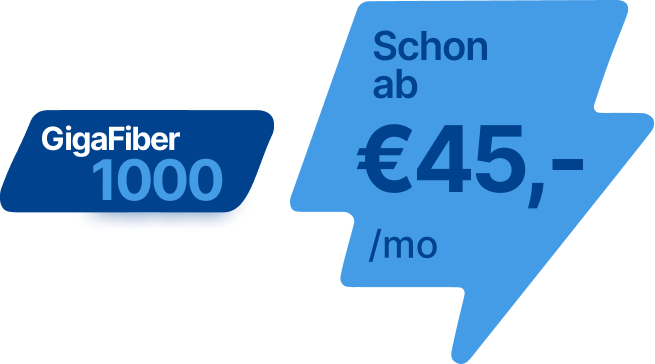 Internet in Ungarn